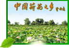 &#22810;&#23453;&#24179;&#21488;&#32593;&#39029;&#29256;&#30331;&#24405;&#20837;&#21475;